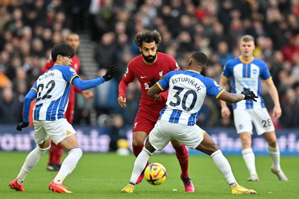 費內巴切引 費內巴切引